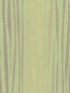 NS784381  ― Eades Discount Wallpaper & Discount Fabric