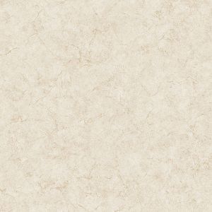 NT33728 ― Eades Discount Wallpaper & Discount Fabric