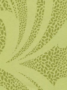 NW6465  ― Eades Discount Wallpaper & Discount Fabric