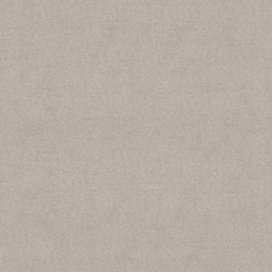 NW6516 ― Eades Discount Wallpaper & Discount Fabric