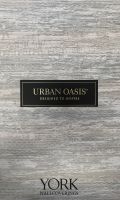Urban Oasis