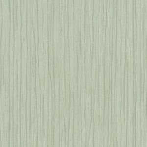 OG0540 ― Eades Discount Wallpaper & Discount Fabric