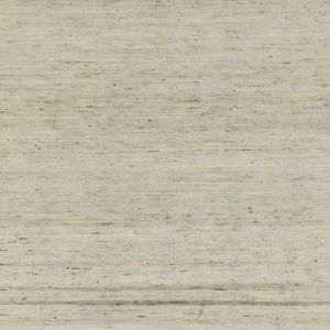 OL5553 ― Eades Discount Wallpaper & Discount Fabric