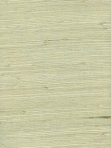 OT30126  ― Eades Discount Wallpaper & Discount Fabric
