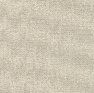 PTT21216  ― Eades Discount Wallpaper & Discount Fabric