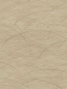 PX8864  ― Eades Discount Wallpaper & Discount Fabric