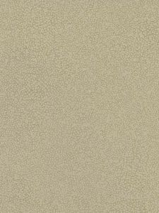 PX8893  ― Eades Discount Wallpaper & Discount Fabric