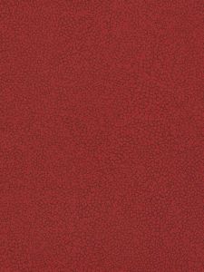 PX8896  ― Eades Discount Wallpaper & Discount Fabric