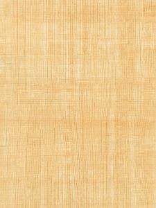 PX8941  ― Eades Discount Wallpaper & Discount Fabric
