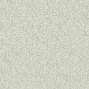 RI5116 ― Eades Discount Wallpaper & Discount Fabric