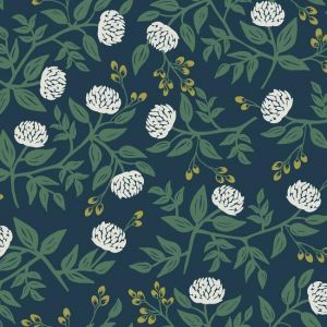RI5149 ― Eades Discount Wallpaper & Discount Fabric