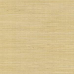 RI5185 ― Eades Discount Wallpaper & Discount Fabric
