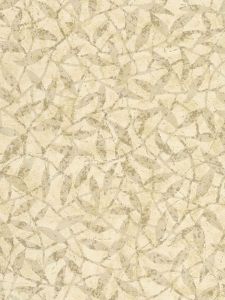  RM6127  ― Eades Discount Wallpaper & Discount Fabric