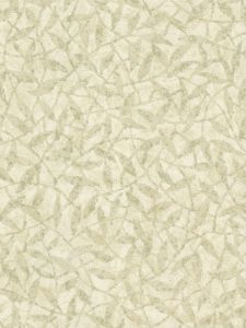  RM6128  ― Eades Discount Wallpaper & Discount Fabric