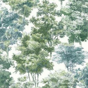 RMK11615WP ― Eades Discount Wallpaper & Discount Fabric