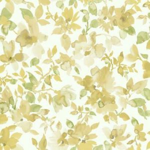 RMK11701WP ― Eades Discount Wallpaper & Discount Fabric