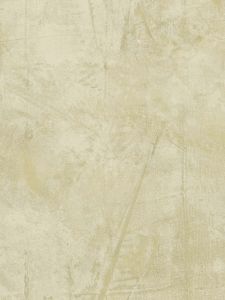 RN62006  ― Eades Discount Wallpaper & Discount Fabric