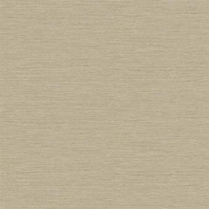 RRD0799N ― Eades Discount Wallpaper & Discount Fabric