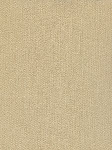 RTX6502  ― Eades Discount Wallpaper & Discount Fabric
