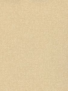  RTX6513  ― Eades Discount Wallpaper & Discount Fabric