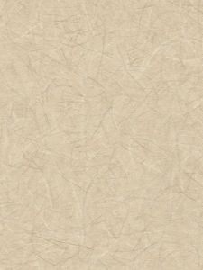 RV6895  ― Eades Discount Wallpaper & Discount Fabric