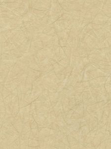 RV6896  ― Eades Discount Wallpaper & Discount Fabric