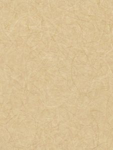 RV6897  ― Eades Discount Wallpaper & Discount Fabric