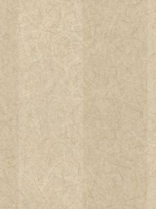 RV6900  ― Eades Discount Wallpaper & Discount Fabric