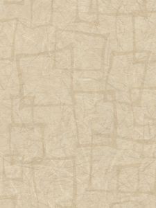  RV6905  ― Eades Discount Wallpaper & Discount Fabric