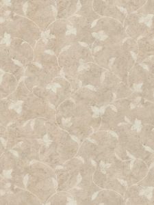 RV6917  ― Eades Discount Wallpaper & Discount Fabric