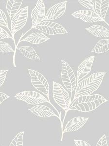 RY30800 ― Eades Discount Wallpaper & Discount Fabric