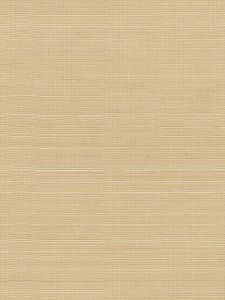 SC5819 ― Eades Discount Wallpaper & Discount Fabric