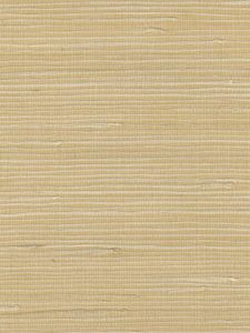 SC5821 ― Eades Discount Wallpaper & Discount Fabric