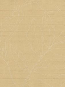 SG50605  ― Eades Discount Wallpaper & Discount Fabric