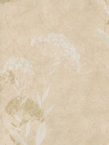SG51107  ― Eades Discount Wallpaper & Discount Fabric