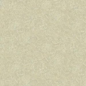 SH5558 ― Eades Discount Wallpaper & Discount Fabric