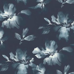 SO2470 ― Eades Discount Wallpaper & Discount Fabric