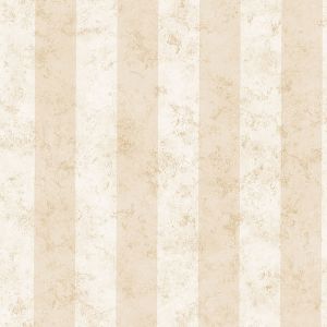SRC76165 ― Eades Discount Wallpaper & Discount Fabric