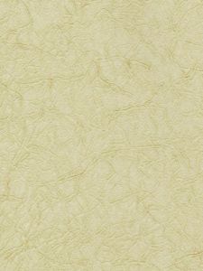 SSW87442  ― Eades Discount Wallpaper & Discount Fabric