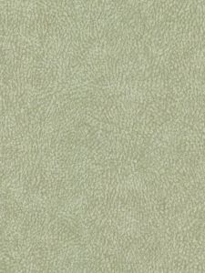  ST124800  ― Eades Discount Wallpaper & Discount Fabric
