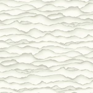 SW7407 ― Eades Discount Wallpaper & Discount Fabric