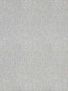T16264 ― Eades Discount Wallpaper & Discount Fabric