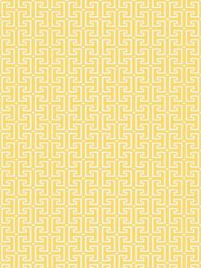 T20856 ― Eades Discount Wallpaper & Discount Fabric