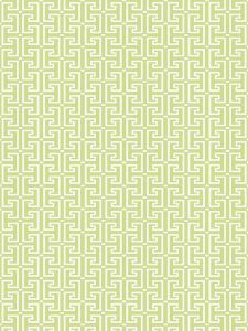T20865 ― Eades Discount Wallpaper & Discount Fabric