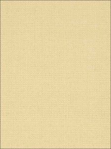 T24339 ― Eades Discount Wallpaper & Discount Fabric