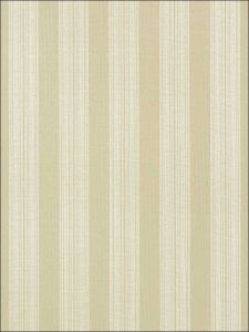 T24345 ― Eades Discount Wallpaper & Discount Fabric