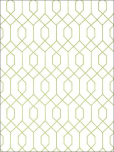 T35202 ― Eades Discount Wallpaper & Discount Fabric