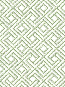 T42049 ― Eades Discount Wallpaper & Discount Fabric