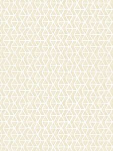 T42057 ― Eades Discount Wallpaper & Discount Fabric