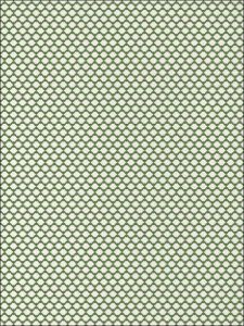 T75452 ― Eades Discount Wallpaper & Discount Fabric